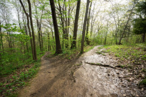 Trails located in Star City are closed for paving